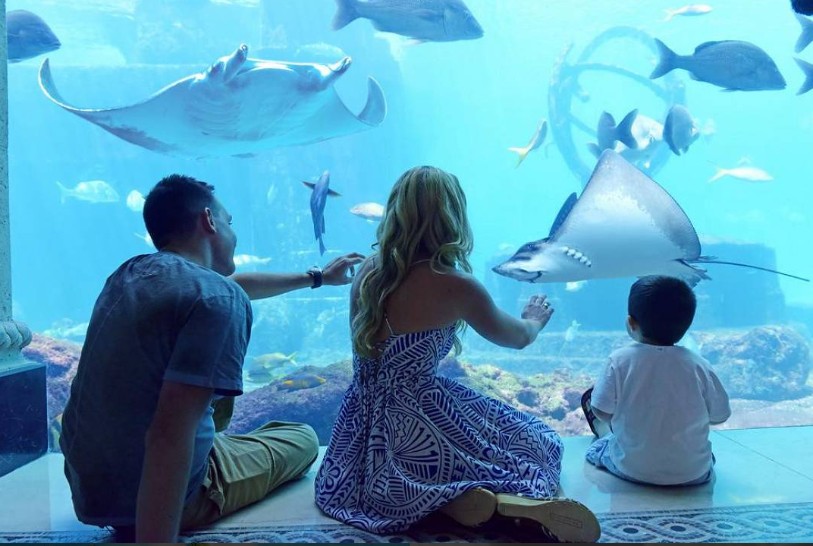 Indoor Aquarium