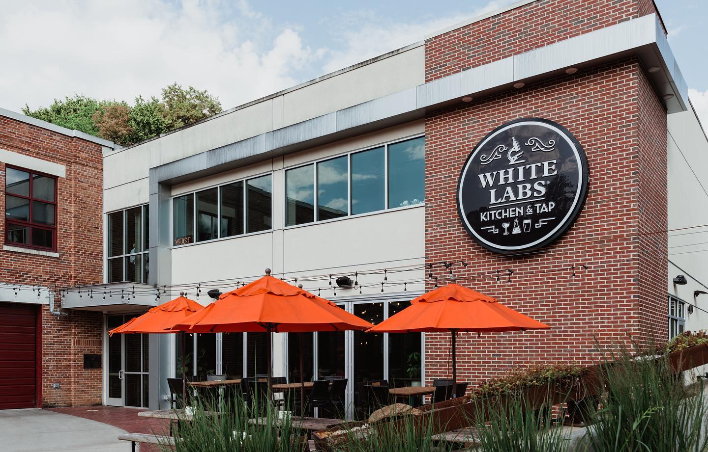White Labs Brewing Co.