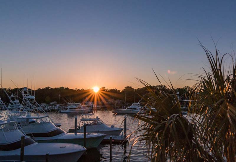 View at Bluewater Grill View at Bluewater Grill