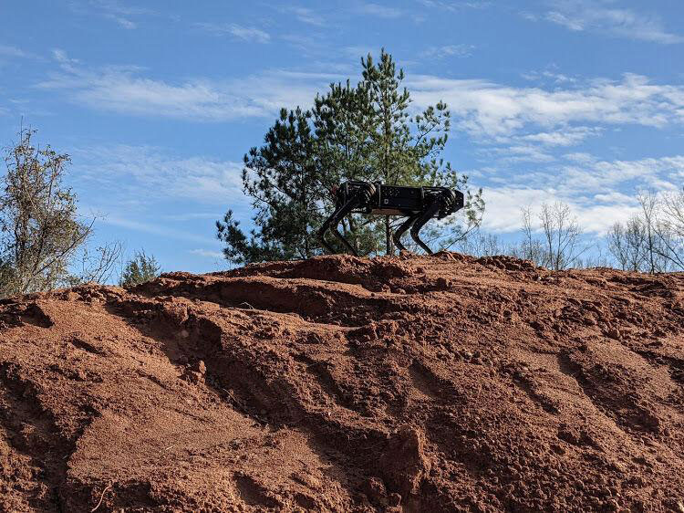 UNCC K-Niner on top of dirt 