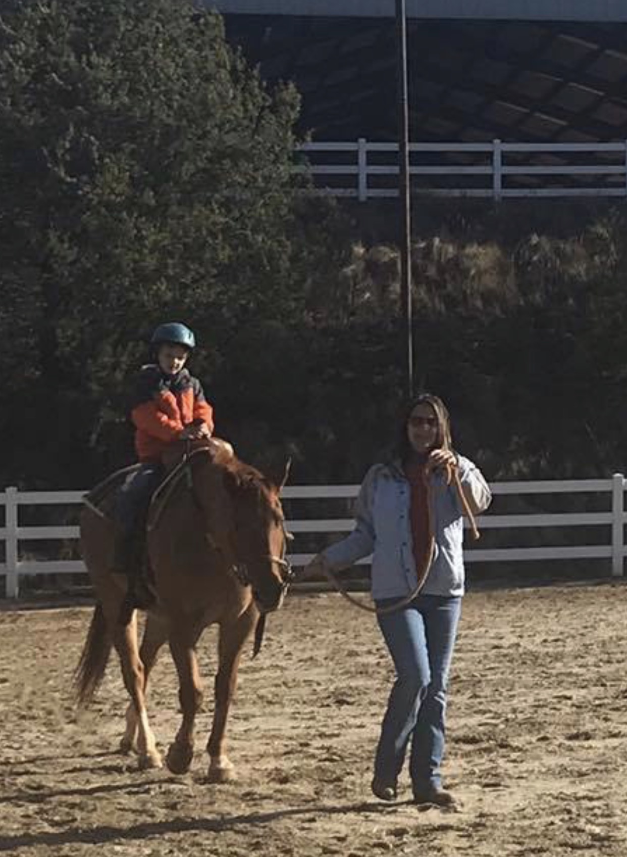 Lori McGovern volunteers with Happy Hooves